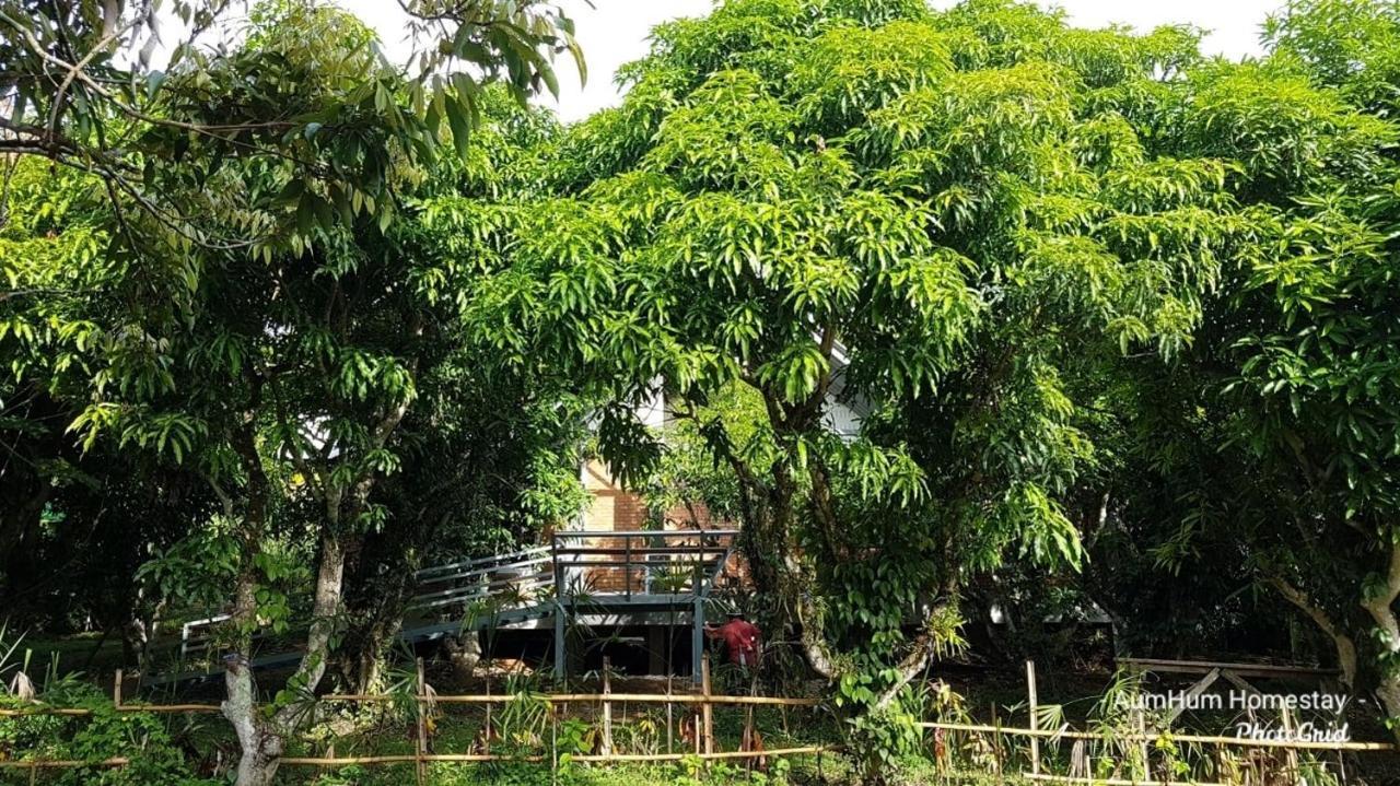 Aum Hum Homestay Fang Exterior photo