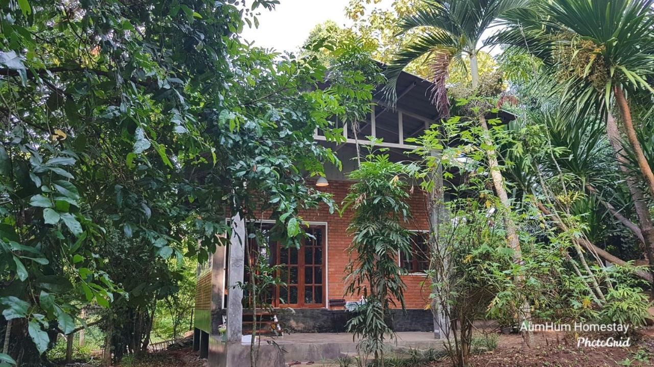 Aum Hum Homestay Fang Exterior photo